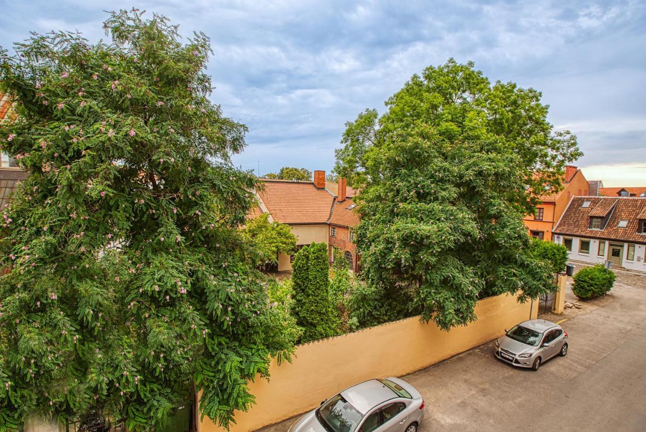 White Lily Apartment Klaipeda Bagian luar foto